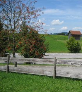  Ferienhaus im Allgäu