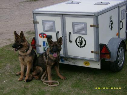 3 Boxer Hundeanhänger von Apel Kraneburg