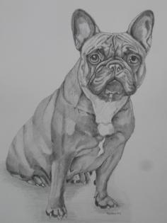 Zauberhafte detailgetreue Hundeportraits....die man sich leisten kann