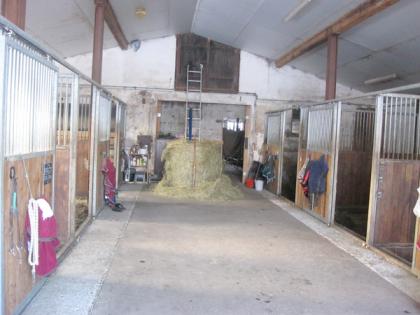 Schöne Box zu vermieten in kleinem Privatstall mit Reitplatz