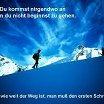 Vertriebsprofis gesucht