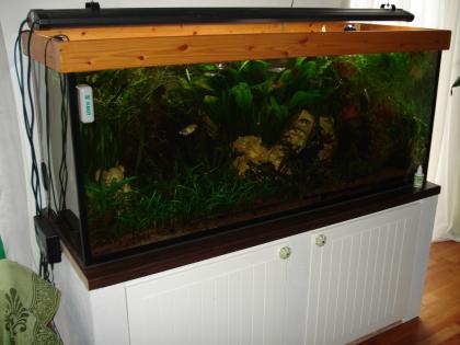 Aquarium komplett 450L