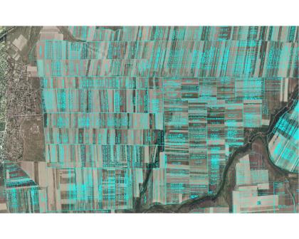 800 Ha Ackerland in Südrumänien zu erwerben 1700euro/Ha 