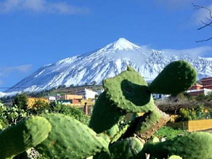 Urlaub auf Teneriffa im Ferienhaus Finca Sabina