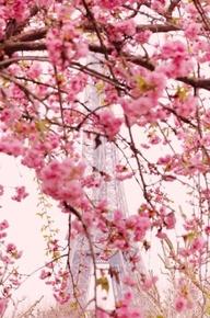 Der Frühling ist da und mit ihm starten unsere Französisch-, Russisch- und Deuts