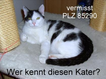 Wer kennt diesen Kater