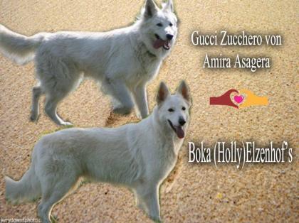 Unsere Welpen sind da!!!!!!!!!!!!!!!!!!!!!!!