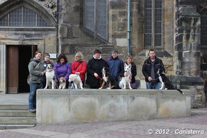 Seminar: FREI SCHNAUZE