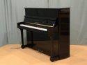 Thomas Stelzer 117 PE piano 