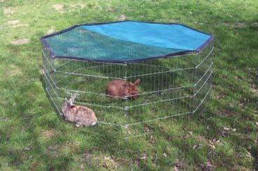 NEU: Freigehege 8 eckig für Hasen, Meerschweine... Versand in Deutschland!