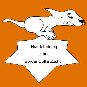 Hundetraining für Border Collies und Co.