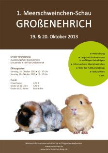 1. Rassemeerschweinchen Schau in Thüringen