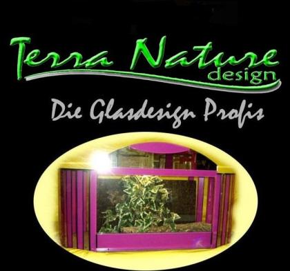  Terrarium  Terrariumbau