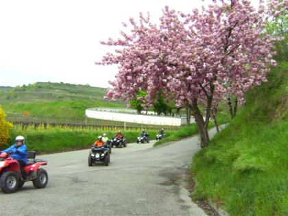 Geführte Panorama Quadtour Kaiserstuhl - Tuniberg