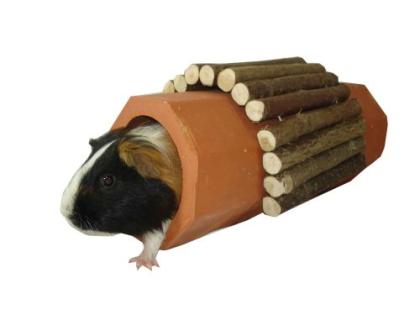 Tontunnel in Größe XL, Meerschweinchen, Kleintiere