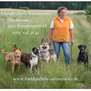 Hundeschule- Hundebetreuung- Hundepension- Hundepflege- Hundeservice