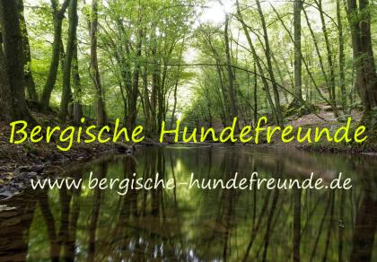 Hundetreffen in Bergisch Gladbach und Umgebung