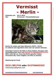 Kater vermisst 44329 Dortmund