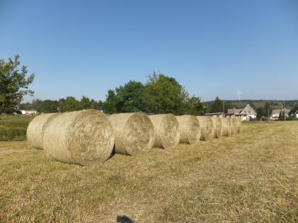 Heu Heurundballen Futter Pferd Kaninchen Schaf Ziege Esel Rind