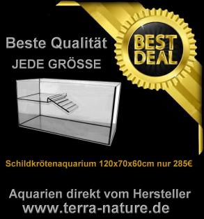 Schildkröten Terra Aquarium 120x50x40cm Wasserschildkröten Becken mit Landteil