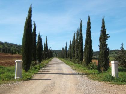 TOSKANA - Villla mit Meerblick in Follonica