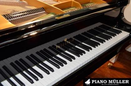 C. Bechstein Modell K-155, L-168, M-180, Studio 189, Akademie 175