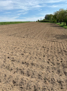 Gemüsegarten Garten Acker Selbstversorger Feld zur saisonalen Pacht