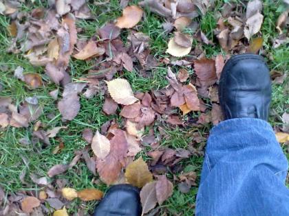 AdventLachSpaziergang mittenmang Berlin -  Lach-Meditations-Workshop an der Spre