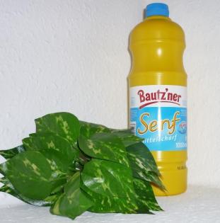 Bautzner Kosaken Senf