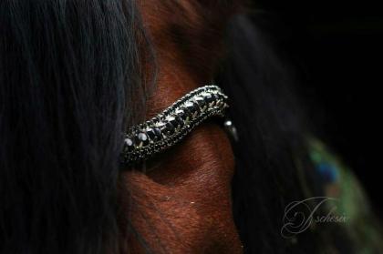 Strass Stirnriemen - Equine Concept