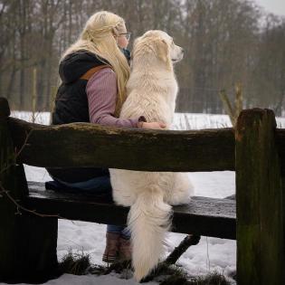 Hundeshooting Hundefotografie Hund&Mensch