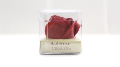 Baderose in Geschenkschachtel