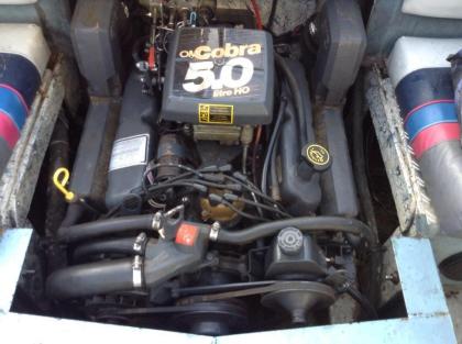 Motorboot Bayliner mit OMC 5, 0 Liter V8 Cobra Moto