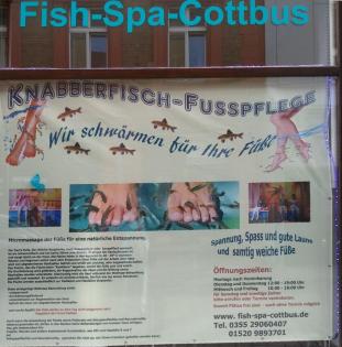 Fish-Spa-Cottbus - Knabberfisch-Fußpflege