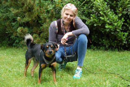 LEGO - Pinscher-Mix - 5 Jahre - Tierhilfe-Franken e.V.