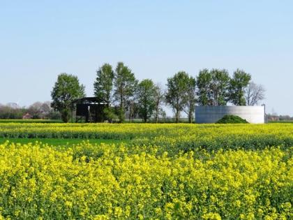 Info Ferienwohnungen Ostfriesland