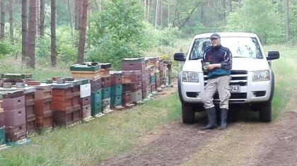 Deutscher Heidehonig Spitzenqualität aus der Elbtalaue-Imkerei Rohde