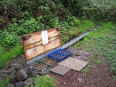 Wandern in der Eifel-Moselregion - 2 Fewo