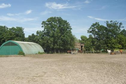 Pferdeparadies Freienhagen - Die Pferdepension