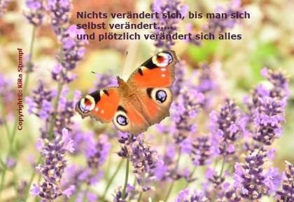 Ausbildung Metamorphose - pränatale Therapie - eine Form der Körperpsychotherapi