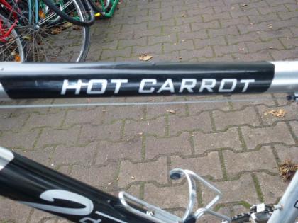 (133) 27 Gang 26 Zoll Rh 47 HOT CARROT wunderbar leicht Gabel gefedert