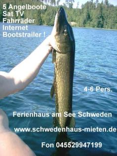 Ferienhaus am see schweden restplätze