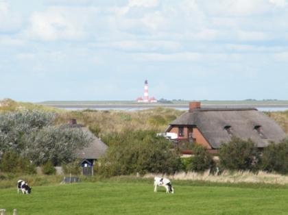 Ferienhäuser mit eingezäuntem Garten in Sankt Peter-Ording