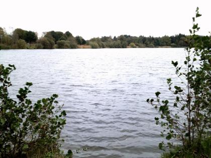 Angelgewässer Woldsee Bilder von Angel.Blog. Zwischen Weser und Ems