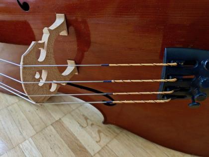 Cello mit Fall, ca. 100 Jahre alt