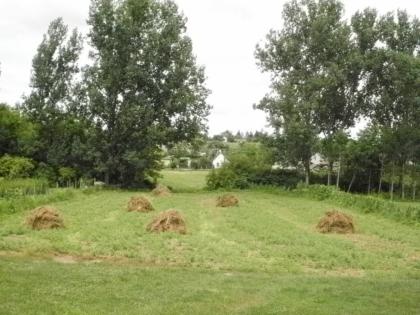 EINMALIG Einfamiliehaus16 km vom Balaton  