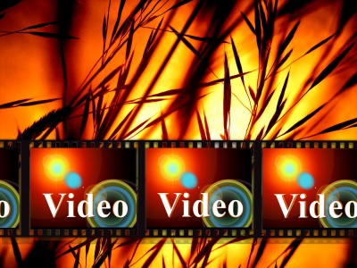 1 Video Upload 25 Videoportale. Videouploader für Videomarketing