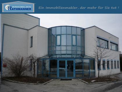 Betriebsliegenschaft - 2 Hallen mit Bürokomplex nähe Wiener Neustadt