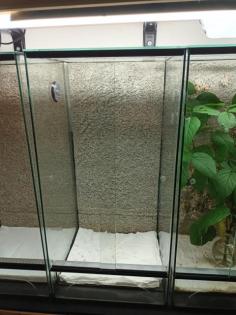 Terrarien 