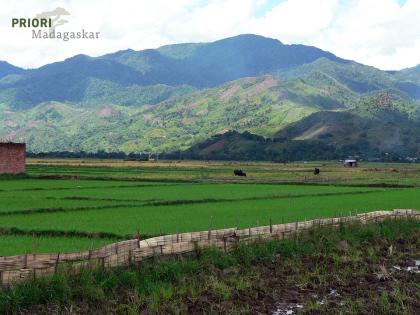 Madagaskar Reise SAVA, Vanille und Marojejy-Trekking2021